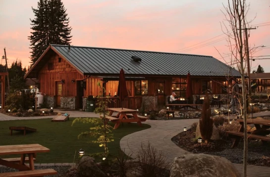 Synthetic Turf and landscaping during sunset