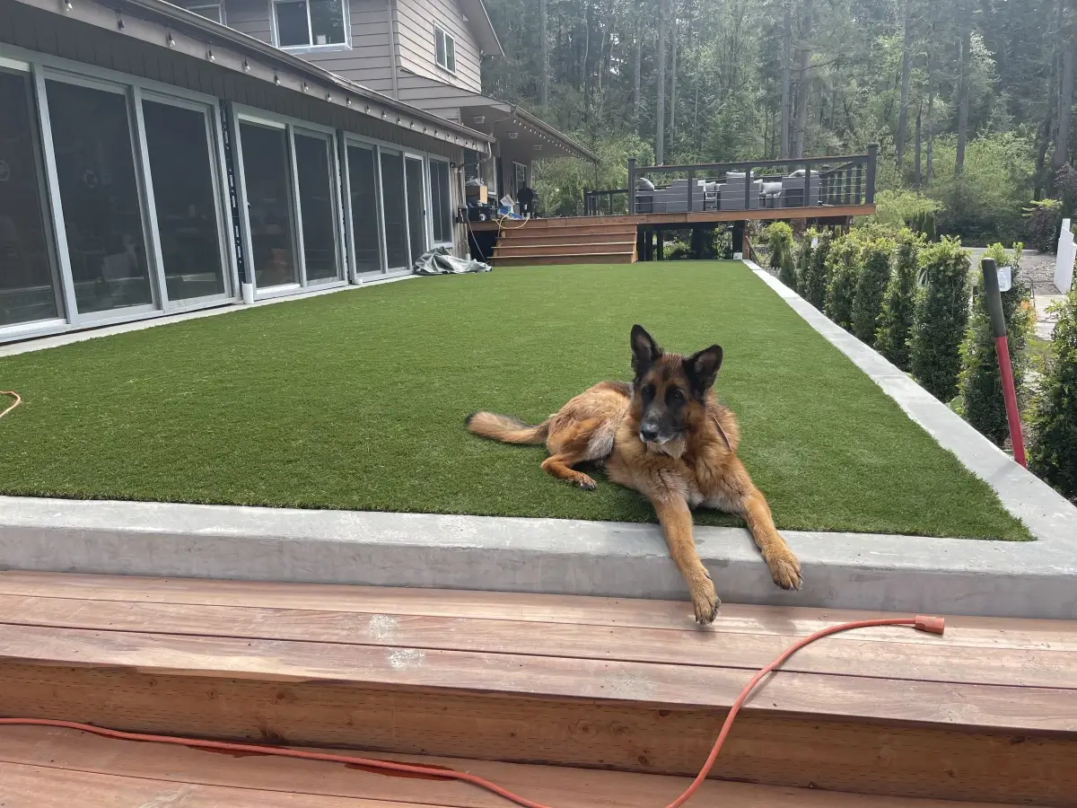 Unique Pet Turf Drainage Systems
