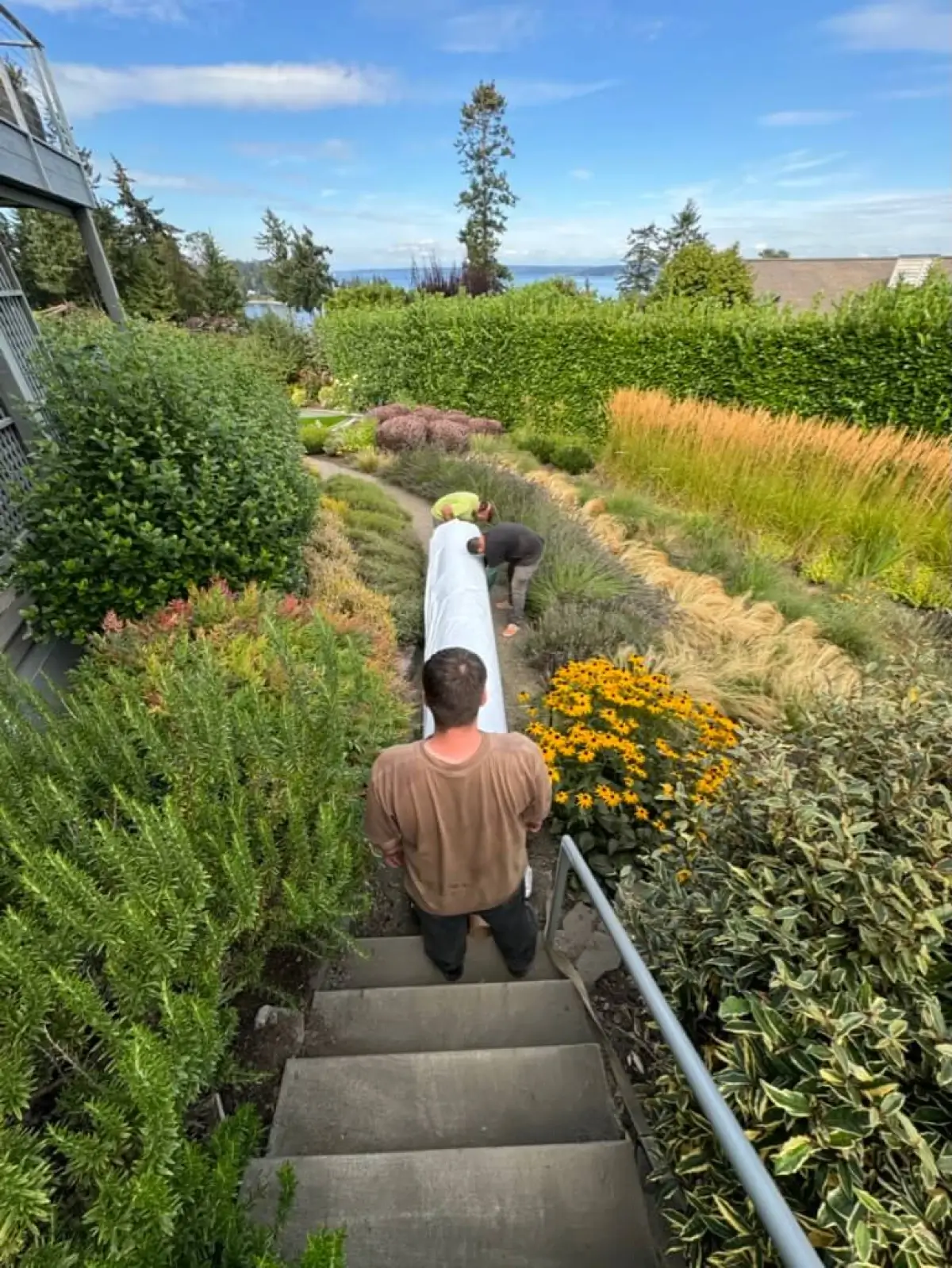 General Cost of Turf Installed