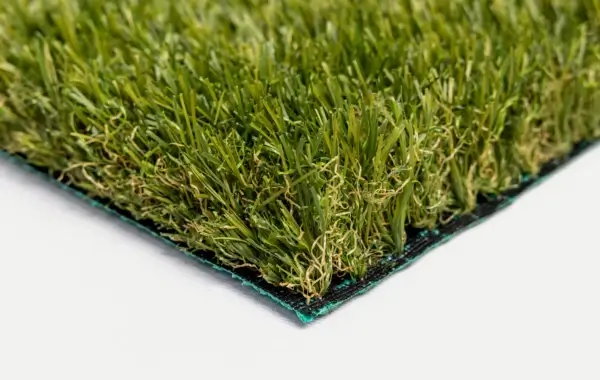 e6daadd9-5069-48a0-8c8a-ec4f7b64b07a