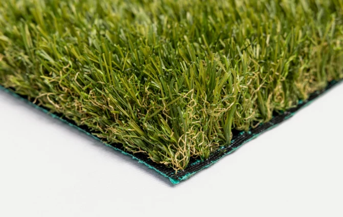 e6daadd9-5069-48a0-8c8a-ec4f7b64b07a